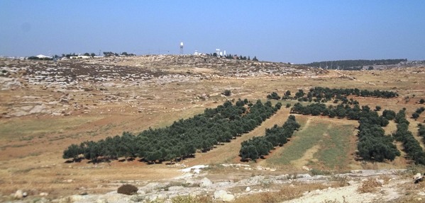 Colinas del sur de Hebrón. Foto: Tali Feld Gleiser.