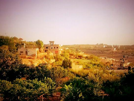 Pueblo de Beit Ommar, norte de Hebrón. Foto: Tali Feld Gleiser.