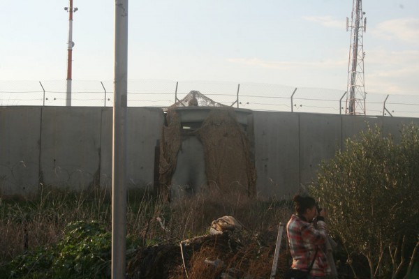 Mirando al Oeste desde la parcela de tierra de Fayez: el ilegal muro del apartheid. Foto Danilo Bell.