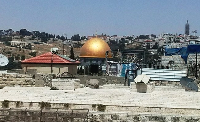 Foto: Tali Feld Gleiser