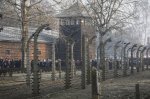 Campo de Auschwitz (Polonia) en la conmemoración del 75° aniversario de su liberación. (Czarek Sokolowski,&nbsp;AP).